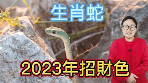 屬蛇適合的顏色|蛇年必知：5種顏色助你2024年好運連連